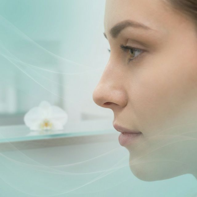 Rinoplastia - Perfil de nariz femenina elegante